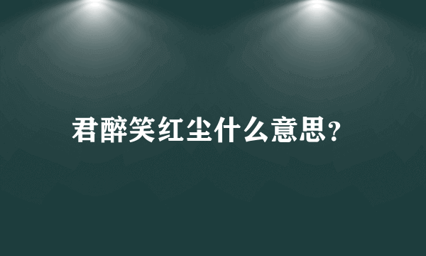 君醉笑红尘什么意思？