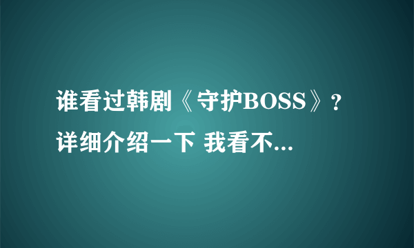 谁看过韩剧《守护BOSS》？ 详细介绍一下 我看不太懂、、、