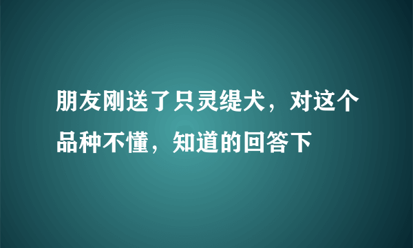 朋友刚送了只灵缇犬，对这个品种不懂，知道的回答下