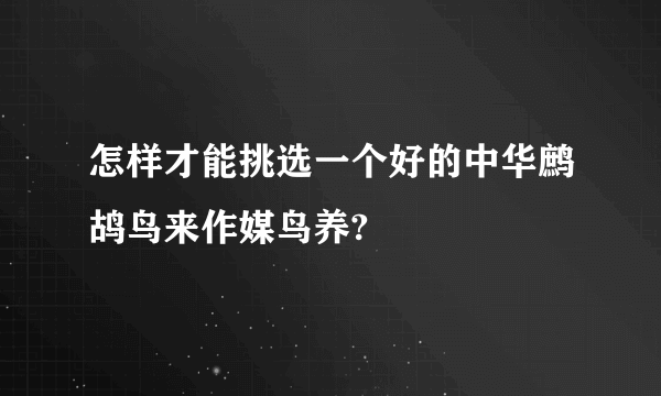 怎样才能挑选一个好的中华鹧鸪鸟来作媒鸟养?