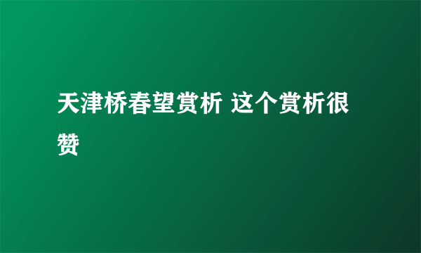 天津桥春望赏析 这个赏析很赞