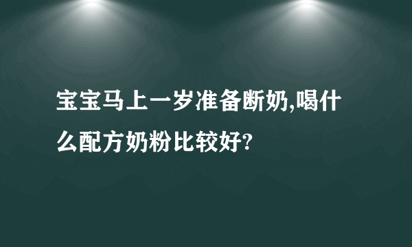 宝宝马上一岁准备断奶,喝什么配方奶粉比较好?