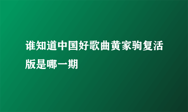 谁知道中国好歌曲黄家驹复活版是哪一期