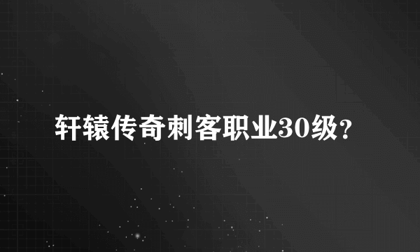 轩辕传奇刺客职业30级？