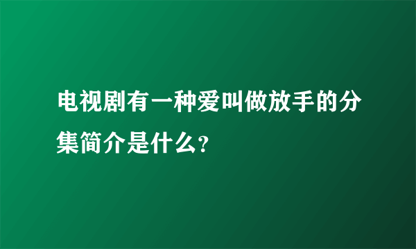 电视剧有一种爱叫做放手的分集简介是什么？