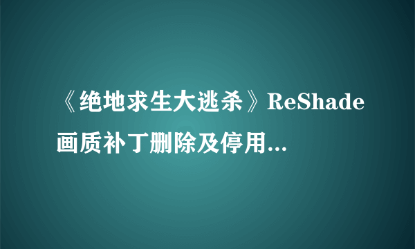 《绝地求生大逃杀》ReShade画质补丁删除及停用方法 ReShade怎么删除