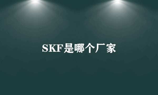 SKF是哪个厂家