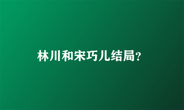 林川和宋巧儿结局？