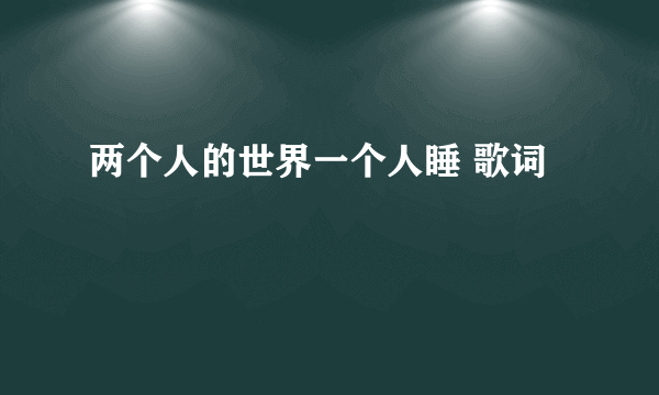 两个人的世界一个人睡 歌词