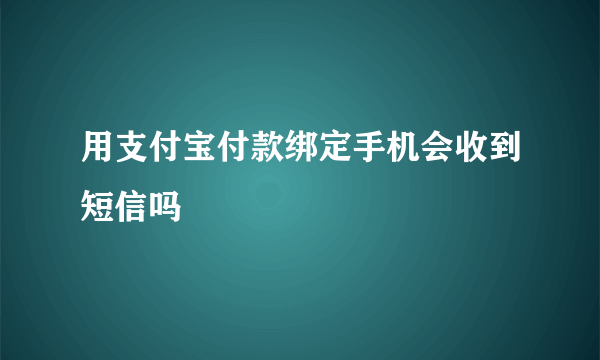 用支付宝付款绑定手机会收到短信吗