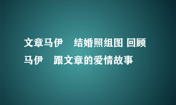 文章马伊琍结婚照组图 回顾马伊琍跟文章的爱情故事