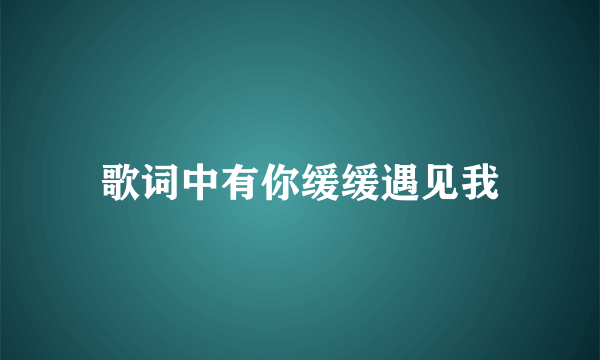 歌词中有你缓缓遇见我