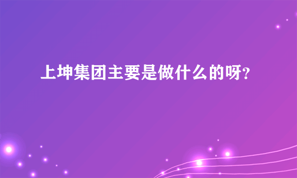 上坤集团主要是做什么的呀？