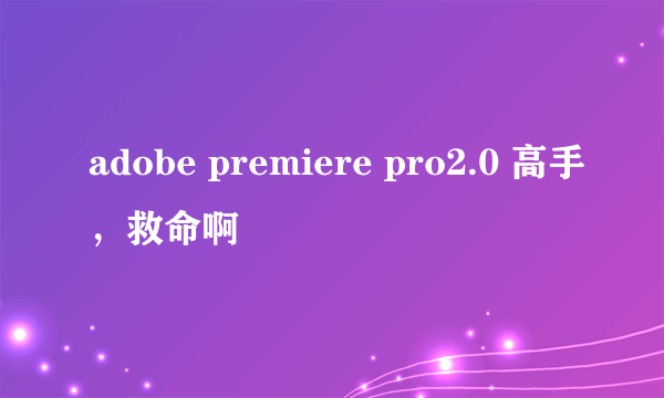 adobe premiere pro2.0 高手，救命啊