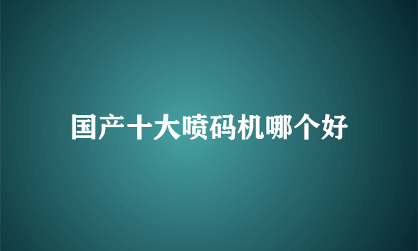 国产十大喷码机哪个好