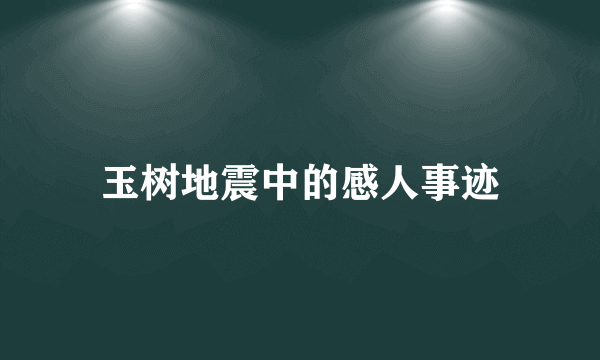 玉树地震中的感人事迹