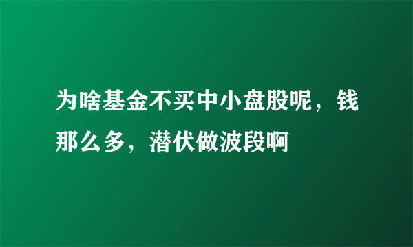 为啥基金不买中小盘股呢，钱那么多，潜伏做波段啊