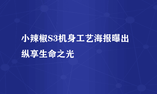 小辣椒S3机身工艺海报曝出  纵享生命之光