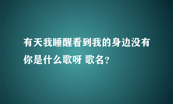 有天我睡醒看到我的身边没有你是什么歌呀 歌名？