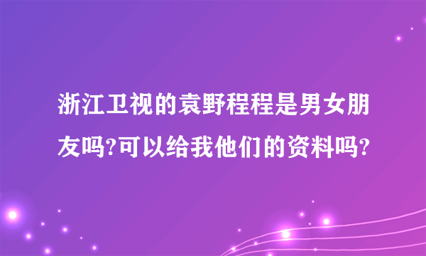 浙江卫视的袁野程程是男女朋友吗?可以给我他们的资料吗?