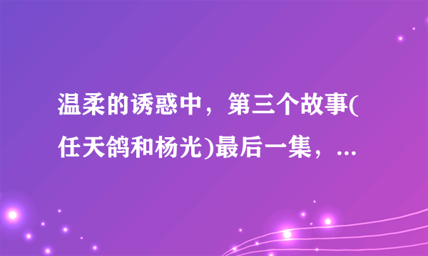 温柔的诱惑中，第三个故事(任天鸽和杨光)最后一集，我看哭了，温柔系列里，我第一次哭