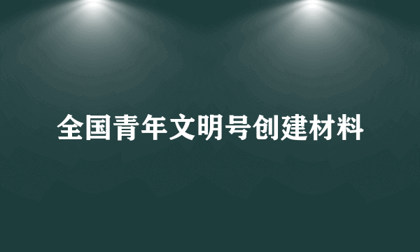 全国青年文明号创建材料