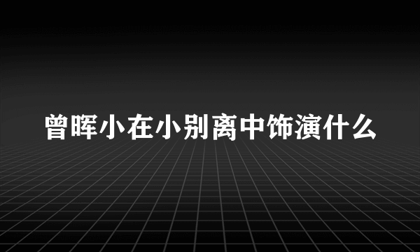 曾晖小在小别离中饰演什么