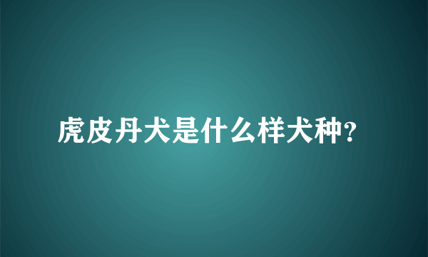 虎皮丹犬是什么样犬种？