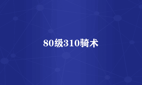 80级310骑术