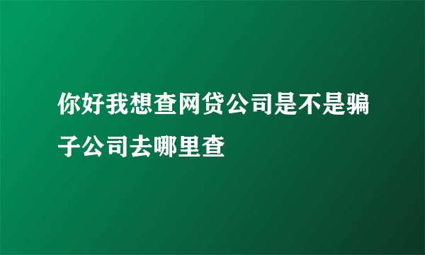 你好我想查网贷公司是不是骗子公司去哪里查