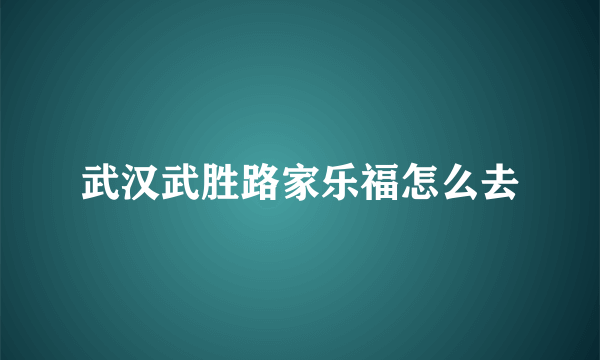 武汉武胜路家乐福怎么去