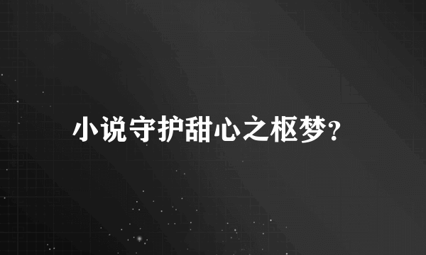 小说守护甜心之枢梦？