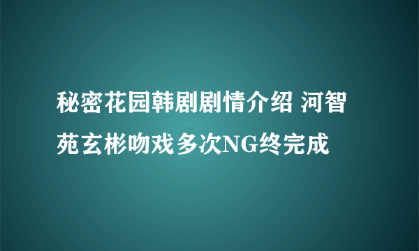 秘密花园韩剧剧情介绍 河智苑玄彬吻戏多次NG终完成