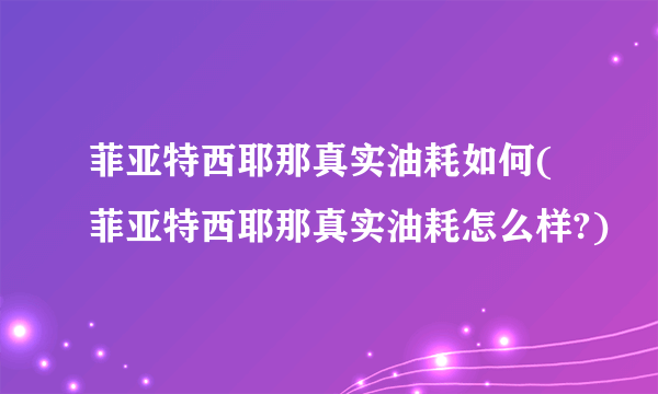 菲亚特西耶那真实油耗如何(菲亚特西耶那真实油耗怎么样?)