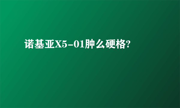 诺基亚X5-01肿么硬格?