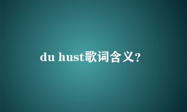 du hust歌词含义？