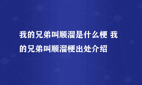 我的兄弟叫顺溜是什么梗 我的兄弟叫顺溜梗出处介绍