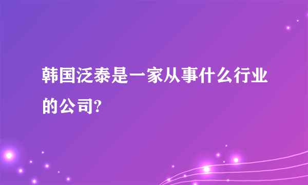 韩国泛泰是一家从事什么行业的公司?