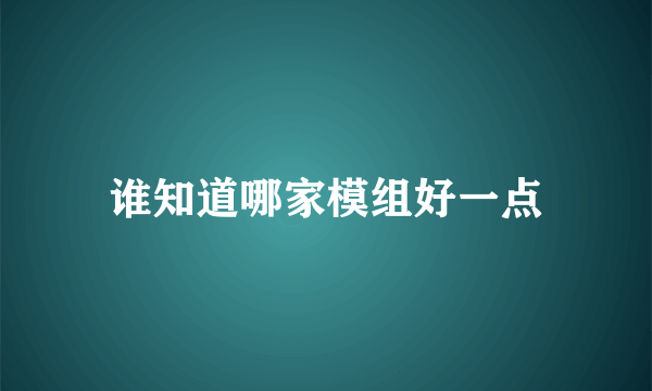 谁知道哪家模组好一点