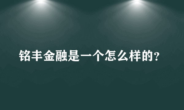 铭丰金融是一个怎么样的？