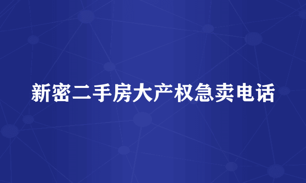 新密二手房大产权急卖电话