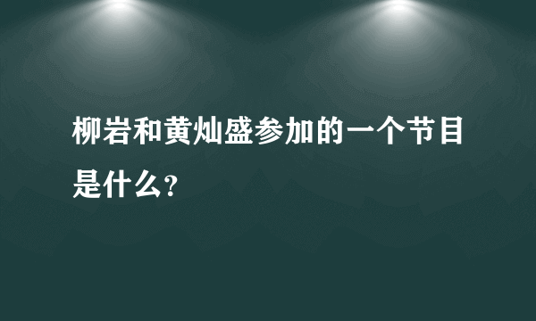 柳岩和黄灿盛参加的一个节目是什么？