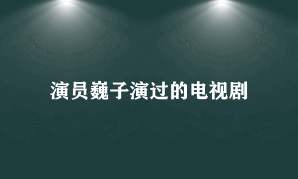 演员巍子演过的电视剧