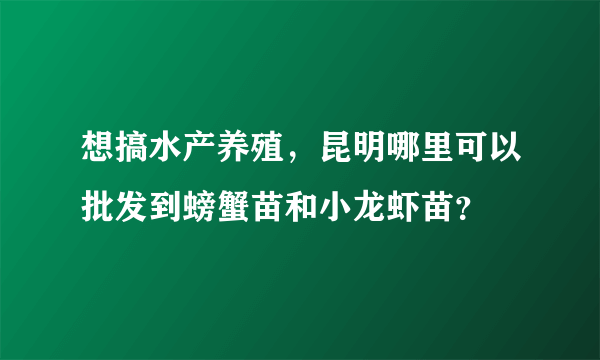 想搞水产养殖，昆明哪里可以批发到螃蟹苗和小龙虾苗？