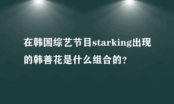 在韩国综艺节目starking出现的韩善花是什么组合的？