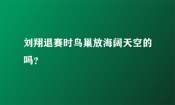 刘翔退赛时鸟巢放海阔天空的吗？