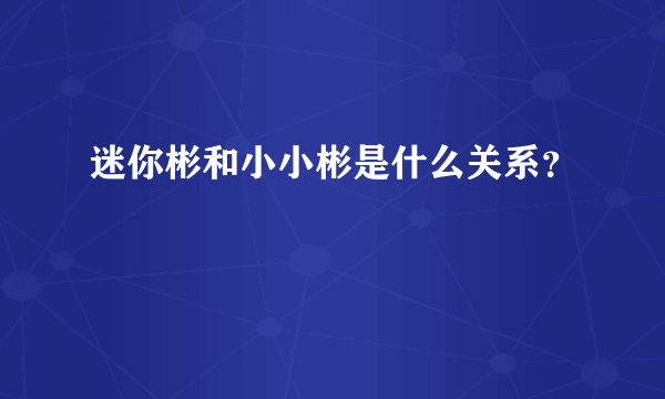 迷你彬和小小彬是什么关系？