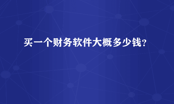 买一个财务软件大概多少钱？