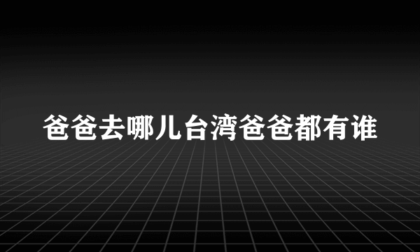 爸爸去哪儿台湾爸爸都有谁