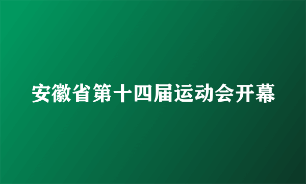 安徽省第十四届运动会开幕